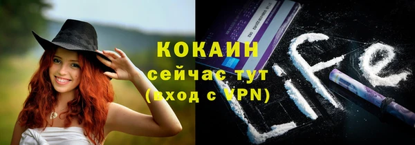 стаф Алзамай