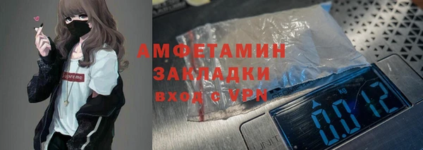 стаф Алзамай