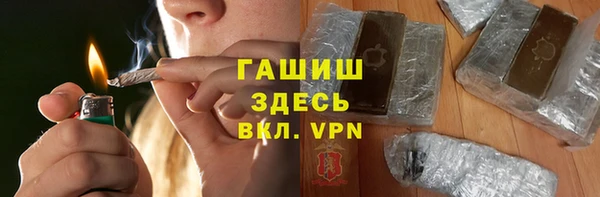 стаф Алзамай