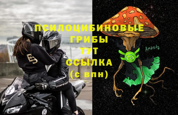 спайс Абаза