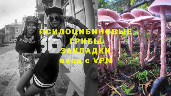 apvp Абинск