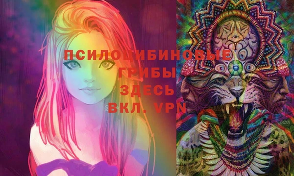 стаф Алзамай