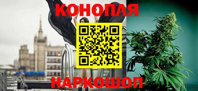 PSILOCYBIN Жуковский