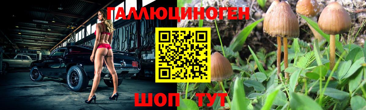 Галлюциногенные грибы Magic Shrooms  Псилоцибиновые грибы MAGIC MUSHROOMS  Новоалтайск  Вход с VPN 