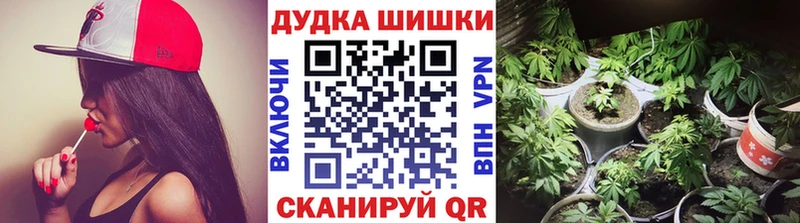 Канабис семена Новоалтайск